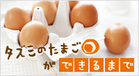 健康卵のギフト 兵庫県のタズミの卵 安心が見える 品質と味に自信あり